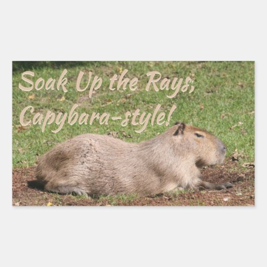 Genießen Sie die Rays im Capybara-Stil! Rechteckiger Aufkleber (Vorderseite)