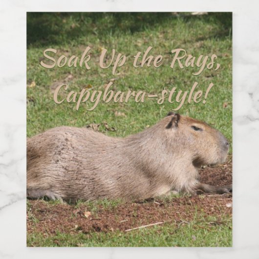 Genießen Sie die Rays im Capybara-Stil! Weinetikett (Einzelnes Label)