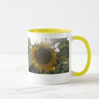 Genießen Sie die SONNE (Blume)… - > Tasse
