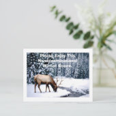 Genießen Sie diese nicht konfessionelle Winterland Postkarte (Stehend Vorderseite)