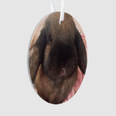 Genießen Sie, diesen kleinen Typ zu haben, an Ornament (Vorderseite)