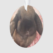 Genießen Sie, diesen kleinen Typ zu haben, an Ornament (Vorderseite)