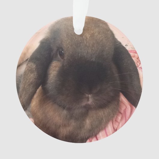 Genießen Sie, diesen kleinen Typ zu haben, an Ornament (Vorderseite)