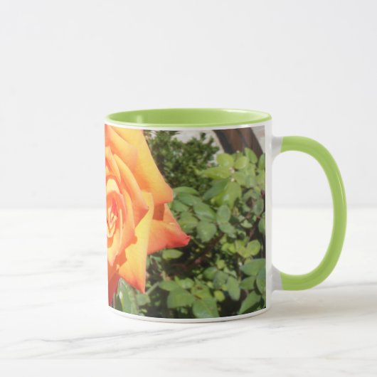 Genießen Sie eine Tasse mit einer orange Rose von (Rechts)