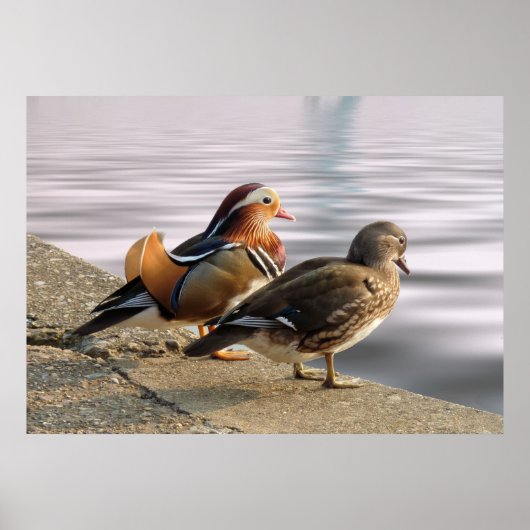 Genießen Sie einen ruhigen Abend! Poster (Vorne)