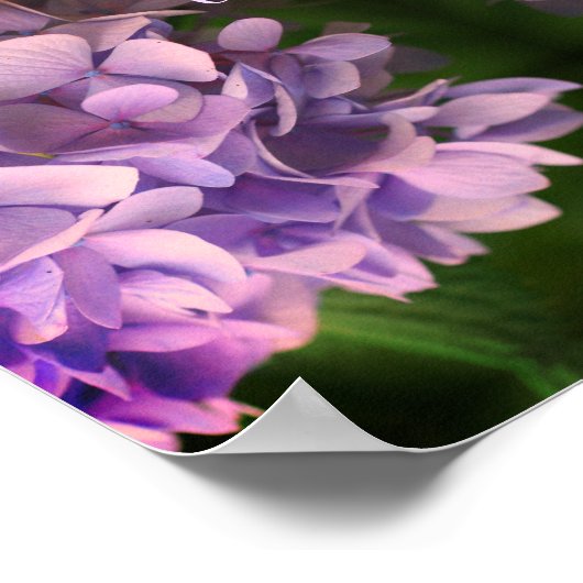 Genießen Sie einfache Dinge Hydrangea Abstrakt Poster (Ecke)
