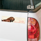 genießen Sie Leben… Fahrt ein arabisches Pferd Autoaufkleber (Auf Lkw)