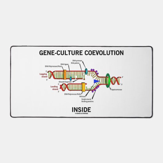 Genkultur-Koevolution in DNA-Replikation Schreibtischunterlage (Vorderseite)