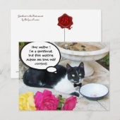 GENTLE CAT IM RESTAURANT Happy Birthday Postkarte (Vorne/Hinten)