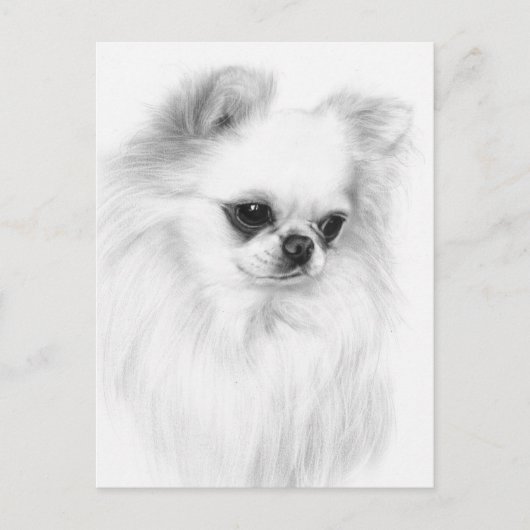 Gentle Chihuahua Handgemälde Postkarte (Vorderseite)