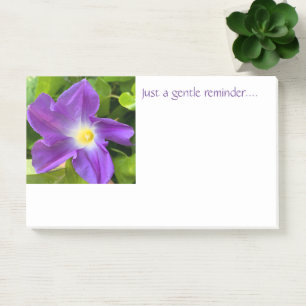 Gentle Erinnerung post-it Klebezettel