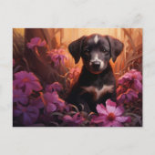 Gentle Furball Postkarte (Vorderseite)