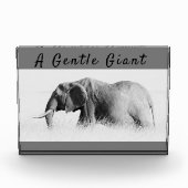 Gentle Giant Elephant Foto mit hoher Texttaste (Vorderseite)