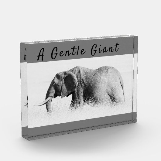Gentle Giant Elephant Foto mit hoher Texttaste (Links)