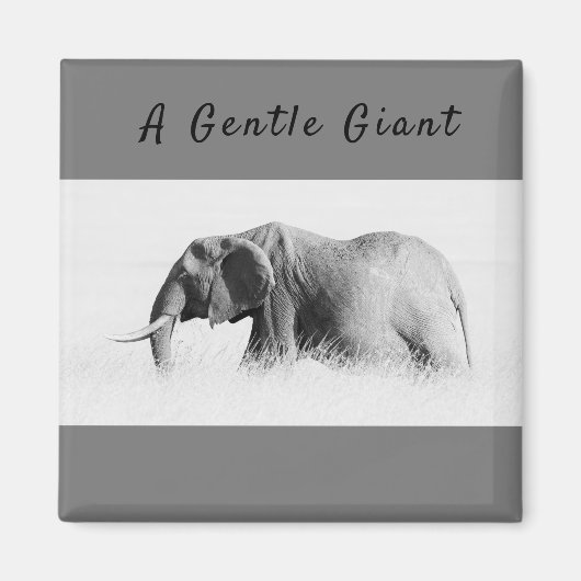 Gentle Giant Elephant Foto mit hoher Texttaste Magnet (Vorne)