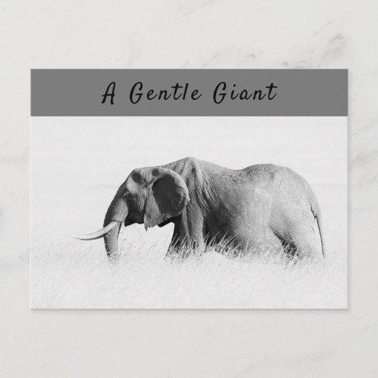 Gentle Giant Elephant Foto mit hoher Texttaste Postkarte (Vorderseite)