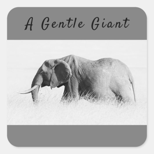 Gentle Giant Elephant Foto mit hoher Texttaste Quadratischer Aufkleber (Vorderseite)
