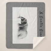 Gentle Giant Elephant Foto mit hoher Texttaste Sherpadecke (Vorderseite)