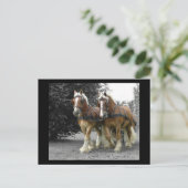 Gentle Giants Postcard Postkarte (Stehend Vorderseite)