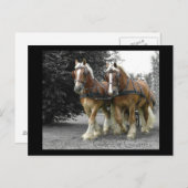 Gentle Giants Postcard Postkarte (Vorne/Hinten)