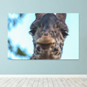 Gentle Giraffe Leinwanddruck (Insitu (Holzboden))