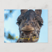 Gentle Giraffe Postkarte (Vorderseite)