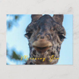 Gentle Giraffe Postkarte