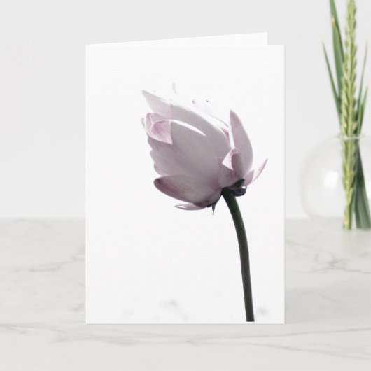 Gentle Karte (Vorderseite)