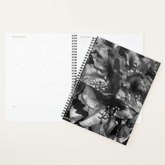 Gentle Lie Planer (Anzeige)