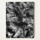 Gentle Lie Planer (Rückseite)