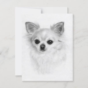 Gentle Look - Handgemalte Chihuahua-Kunst Postkarte