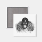 Gentle Orangutan Black and White Ape Zeichnend Magnet (Vorderseite/Rückseite)