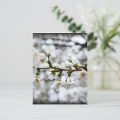 Gentle Purity Postkarte (Stehend Vorderseite)