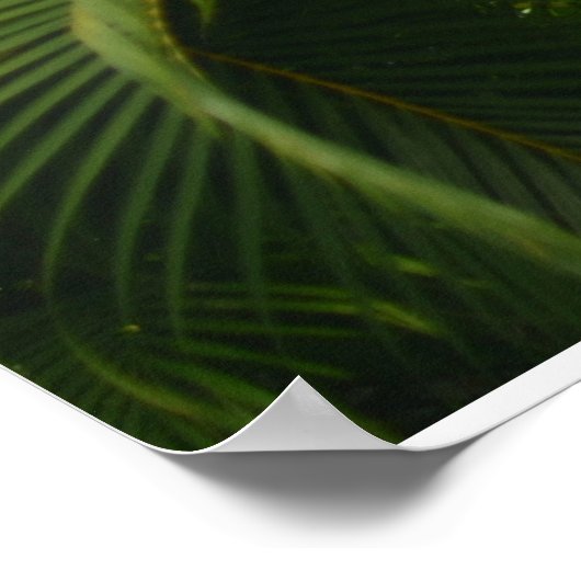 Gentle Reach Poster (Ecke)