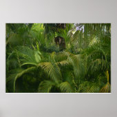 Gentle Reach Poster (Vorne)