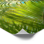 Gentle Reach Poster (Ecke)