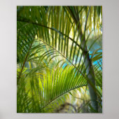 Gentle Reach Poster (Vorne)