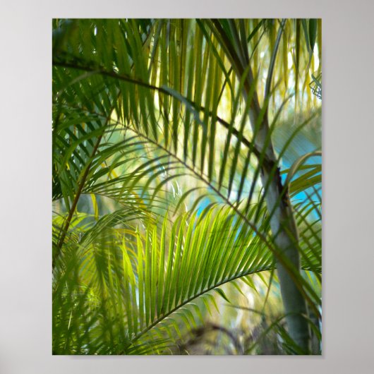 Gentle Reach Poster (Vorne)