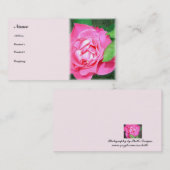 Gentle Rose - Visitenkarte (Vorne/Hinten)