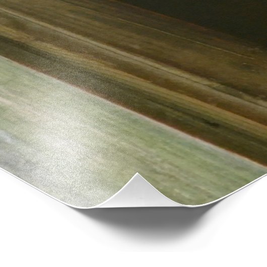 Gentle Sheep Fotodruck (Ecke)