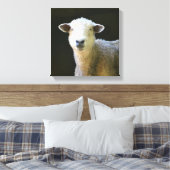Gentle Sheep Leinwanddruck (Insitu (Schlafzimmer))