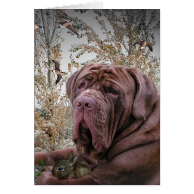 Gentle Side - Neopolitan Mastiff (Vorne)