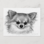 "Gentle Soul" Handgemalt Chihuahua Portrait Postkarte (Vorderseite)