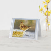 Gentle Sparrow - Thinking of You Card Karte (Gelbe Blume)