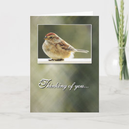 Gentle Sparrow - Thinking of You Card Karte