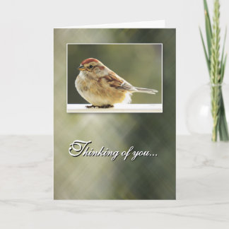 Gentle Sparrow - Thinking of You Card Karte