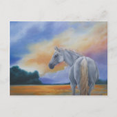 Gentle Spirit Postkarte (Vorderseite)