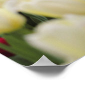 Gentle Spring Flowers Poster (Ecke)