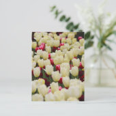 Gentle Spring Flowers Postkarte (Stehend Vorderseite)