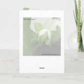 Gentle Sympathy Card mit Bibel Verse Karte (Rückseite)